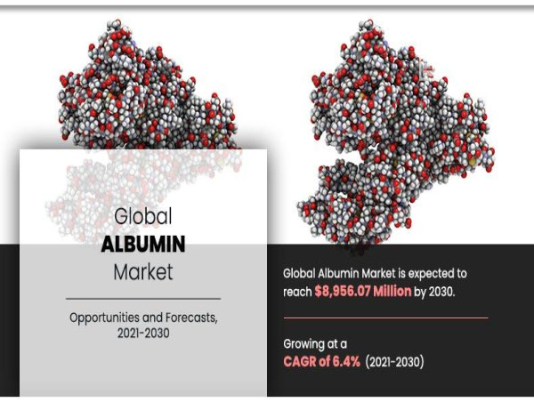 Albumin Market Sets New Record Projected At Usd 895 Billion By 2030 At 64 Cagr Amr 0413