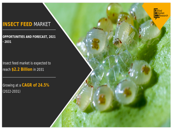  Insect Feed Market to Reach $2.2 Billion by 2031 - Region wise, North America Occupied the Share with a CAGR of 22.3% 