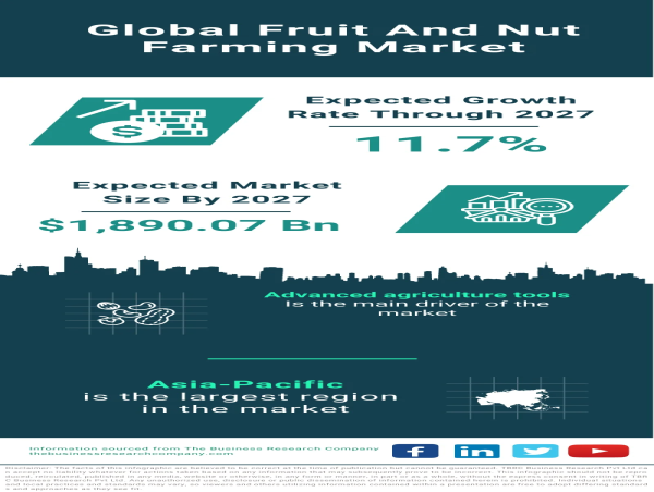  Global Fruit and Nut Farming Market: Robust Growth Fueled by Agribot Adoption 