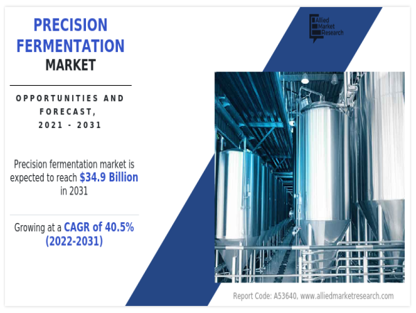  Precision Fermentation Market is likely to Surge at a 40.5% CAGR By 2031 | Based on region, North America was Dominant 