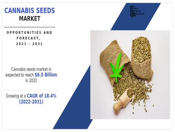  Cannabis Seeds Market to Gather USD6.5 Billion by 2031 ; Regular Seeds Segment was the Highest Revenue Contributor 