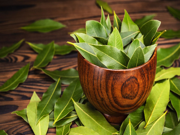 Bay Leaf Market 2023 Emerging Growth Trends, Top Key Players, and ...