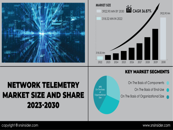  Network Telemetry Market to Hit USD 3922.90 Mn by 2030 Driven by Rising Network Complexity and IoT Proliferation 