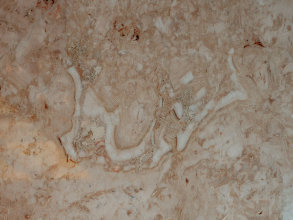  Miraculous Writing on a 200 Million-Year-Old Marble Was Found 
