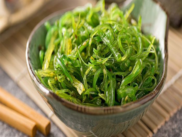 Seaweed Market 2024 Global Size Share Industry Trends Growth   1709655215 65e744af31565 20412154 Global Seaweed Market 700x350 