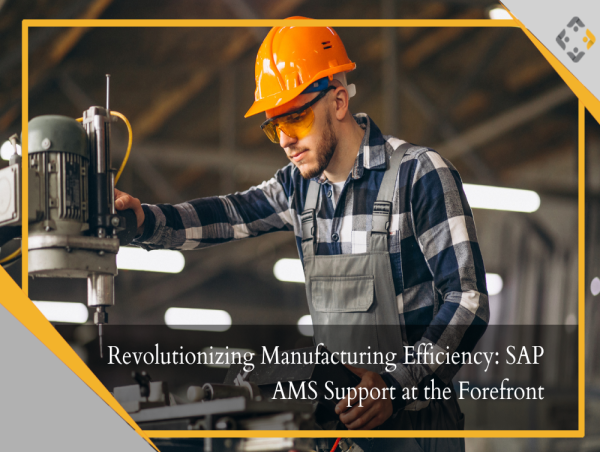  Revolutionizing Manufacturing Efficiency: SAP AMS Support at the Forefront - BusinessProcessXperts 