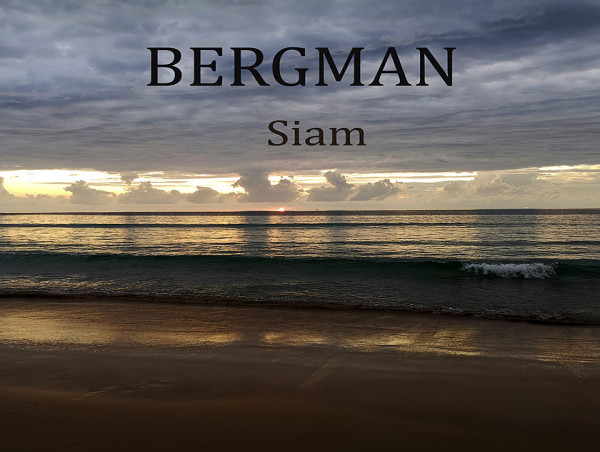 New Music Alert Siam From Swedish Indie Artist Bergman