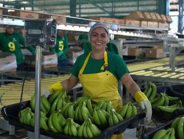  Banacol: Celebrando il Giorno Internazionale della Banana con impegno per la sostenibilità e lo sviluppo comunitario 