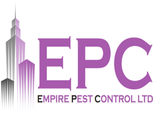  Empire Pest Control in London Showcases Excellence in Professional Pest Management 