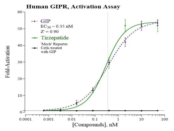 INDIGO Biosciences Releases Cell-Based Luciferase Reporter Assay for ...