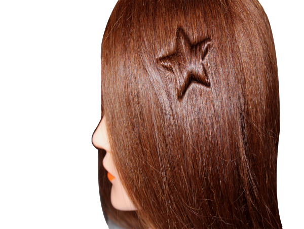 Jin Yin Hua Launches Innovative Hair Sculpture Art Mold