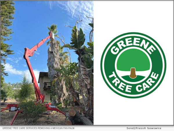  Greene Tree Care Helps Ventura County Residents Prepare For Wildfire Season With Defensible Space Services 