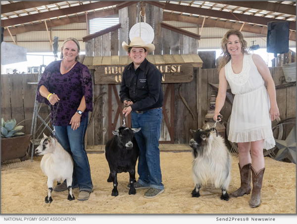  American Pygmy Goat Champions Crowned At National Convention 