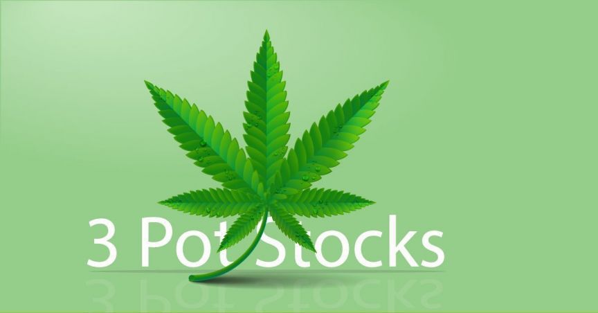 3 Pot Stocks – CPH, AC8 And CAN