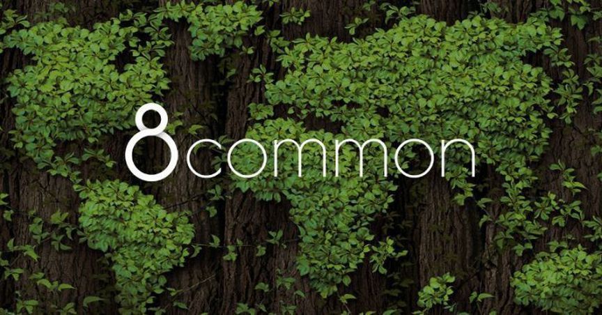  NSW Department of Education extends the contract with 8Common’s Expense8 for 1 year 