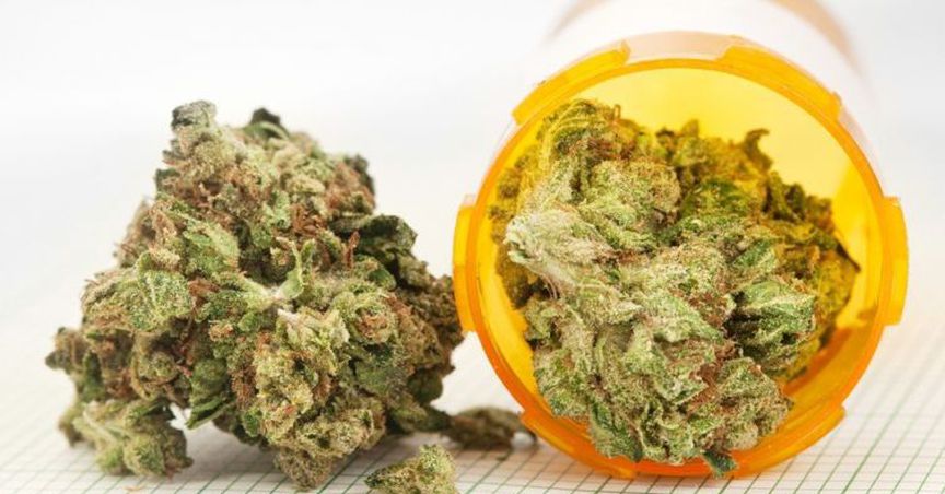  Affinity Energy And Health Ltd Moves One Step Ahead In Medical Cannabis Space 