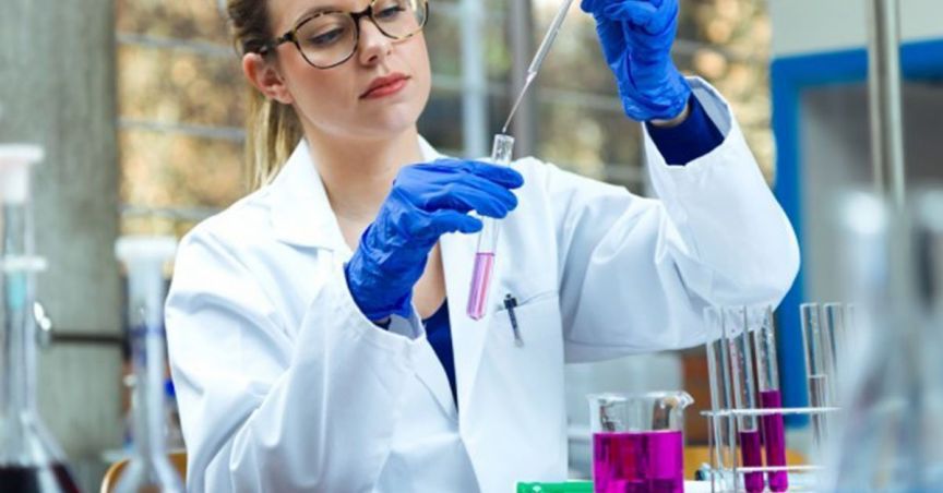  Alexium International Signs Development Agreement With PineBelt Processing; Stock Price Rises 18.18% 