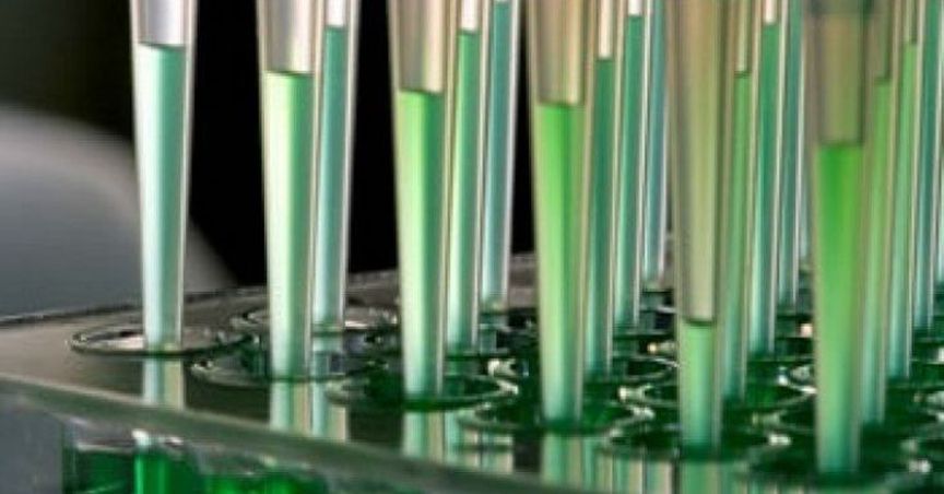  A Quick look on Anatara Lifesciences’ Gastrointestinal ReProgramming progress 