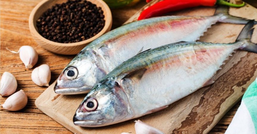  A Glance Through Recent Updates of Seafood Stocks – AS1 and TGR 
