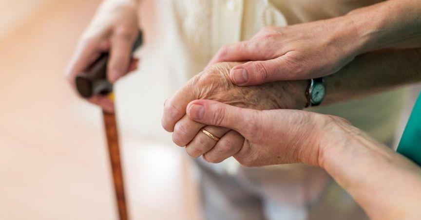  Race Oncology Ltd (ASX: RAC) Shares Surge on Positive Phase 2 Trial Results 