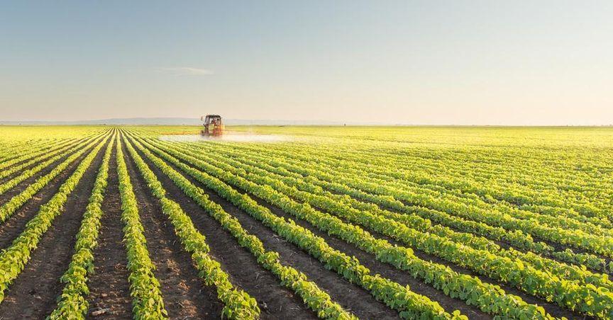  Brazil's Sugar Production Boosts Global Supply 