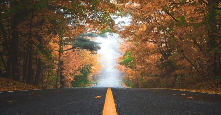 Exploring the Australian Roads- Must do road trips in Australia