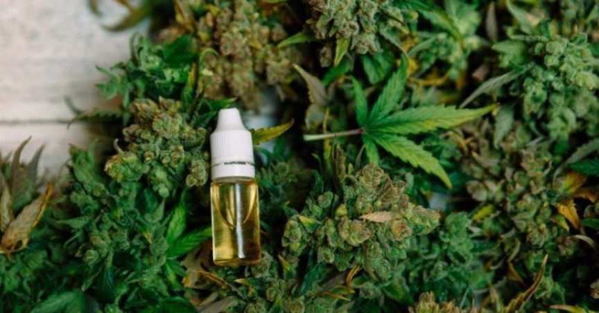  BOD Australia Confirms CBD Wafer’s Excellence Post The Clinical Trial; Stock Soars On ASX 