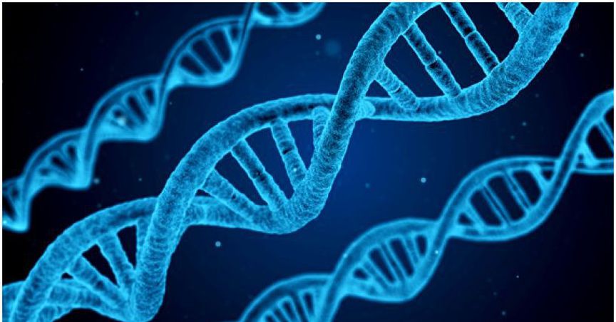 BGT Expanding Research Program For Qcide