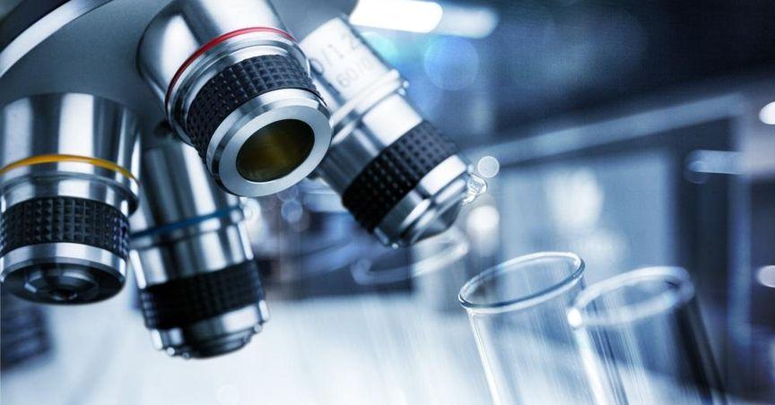  Will Market Unrest Undermine a Natural Ingredients Giant? 