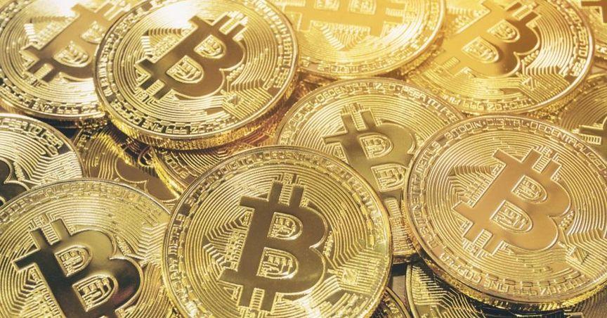 Bitfarms Stock Jumps 22% as Q2 Loss Beats Expectations 