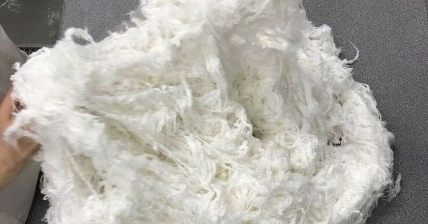  Nanollose Updates On Second Pilot Production Of Nullarbor™ Fibre For Nonwoven Applications 