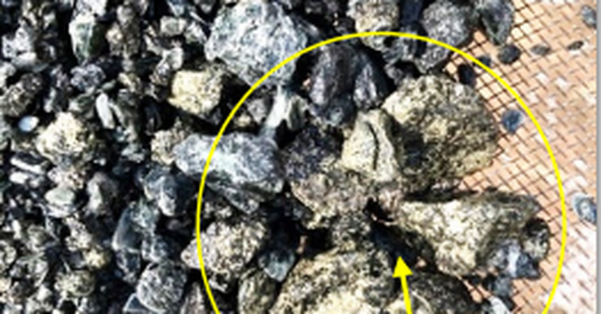  Latest drilling extends Cu-Au mineralisation at Cooper Metals (ASX: CPM) Raven prospect 