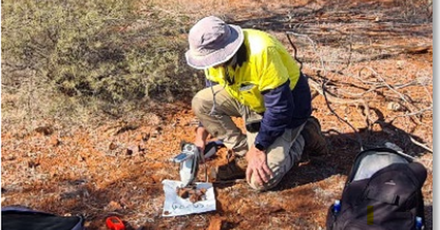  Cooper Metals (ASX: CPM) reports up to 2.56g/t gold in Gooroo rock chips 