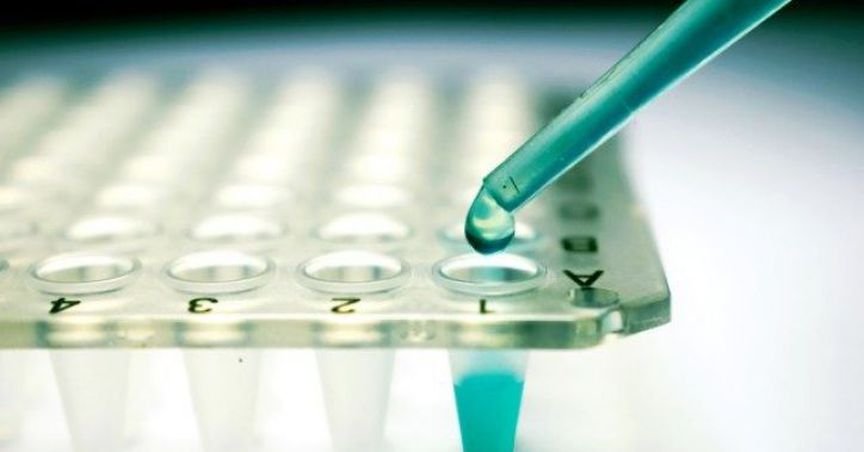 Cynata Therapeutics Limited Releases Its Preclinical Study Outcome