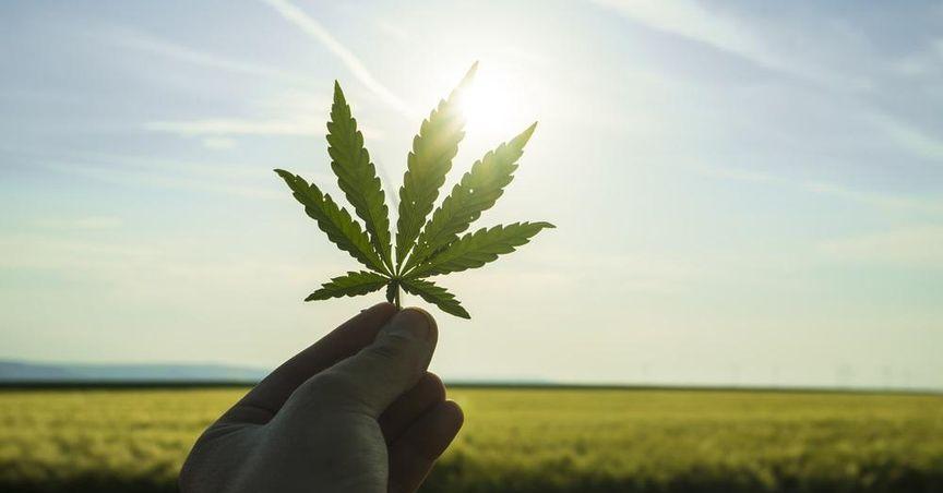  Tilray Brands Inc [TLRY] Records a -23.42% Drop Year-to-Date: What's the Next Move? 