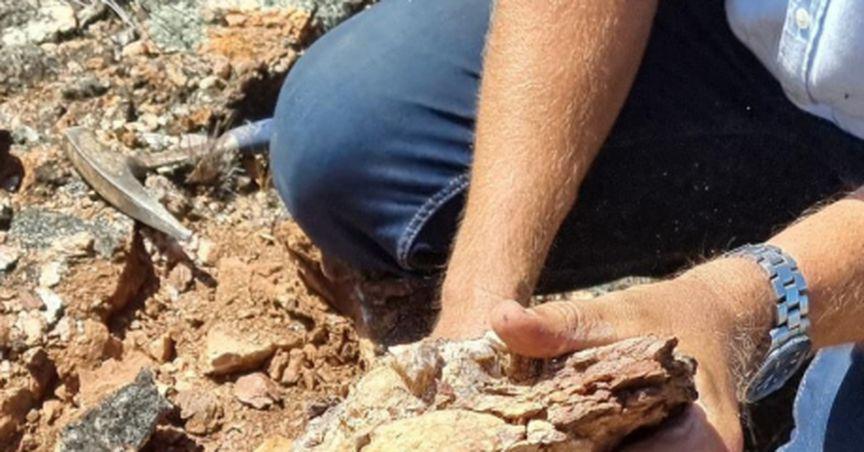  Vertex Minerals Limited (ASX:VTX) finds pegmatites at Taylor Rock; shares surge 4% 