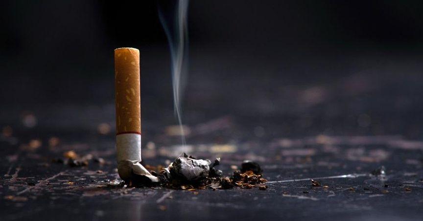  FTSE 100 Tobacco Sector Tracks Movement as British American Tobacco Gains Institutional Attention 