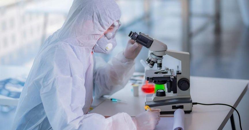  Why Is Enzo Biochem (NYSE:ENZ) Gaining Attention in the Medical Research Sector? 