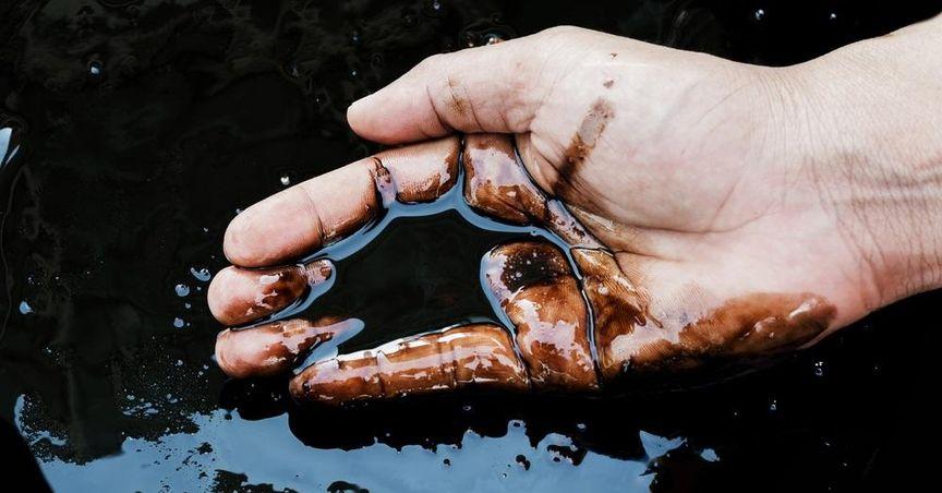  Is This Drop In Canadian Oil Stock A Red Flag? 