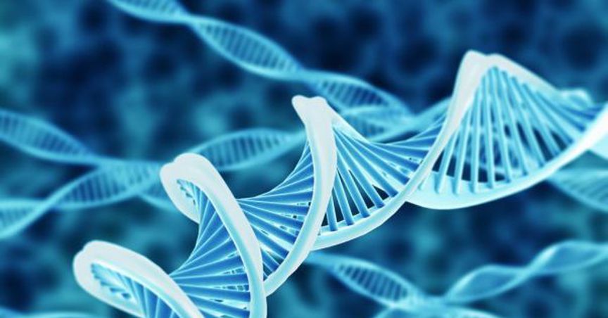  Biotech Giant, Dimerix Obtains R&D Tax Rebate For FY18 