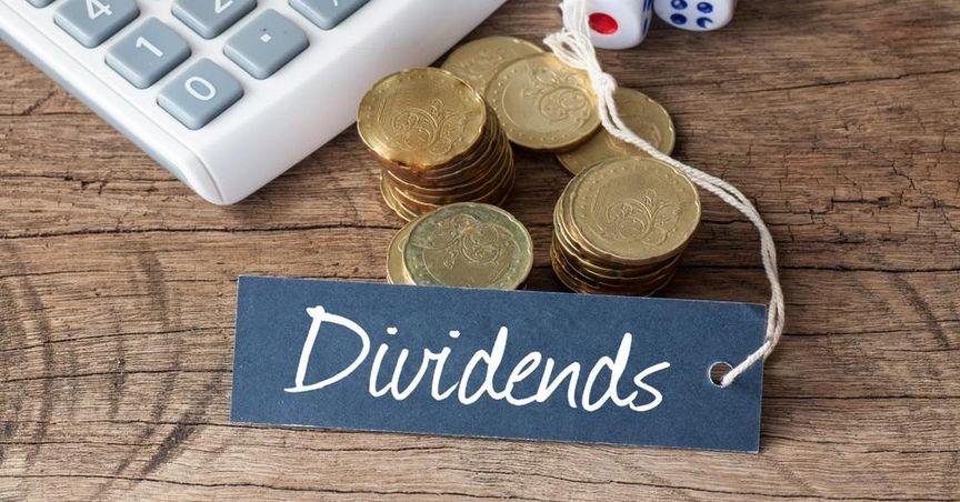  2 TSX Dividend Stocks with Great Potential 