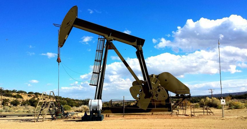 E2E Share Price Jumped On Disclosure Of Revenue