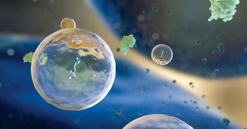 Anti-Aging Company Exopharm Plans To Raise $7 Million Through IPO