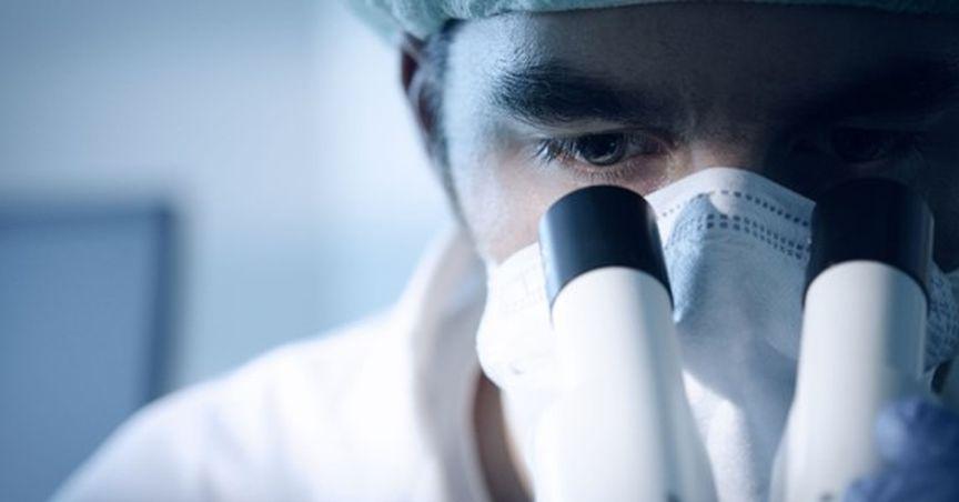  Cynata Therapeutics (ASX: CYP) informs about capital raising of approximately AU$7 million 