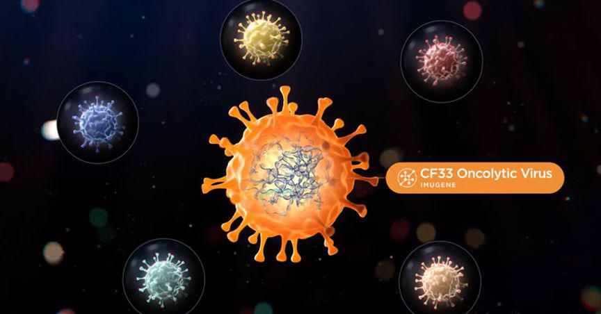Imugene (ASX:IMU) shares up 11% on key CHECKvacc trial update