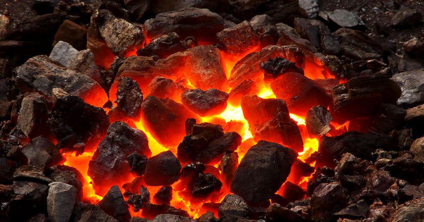 How these five ASX coal stocks have performed so far this year