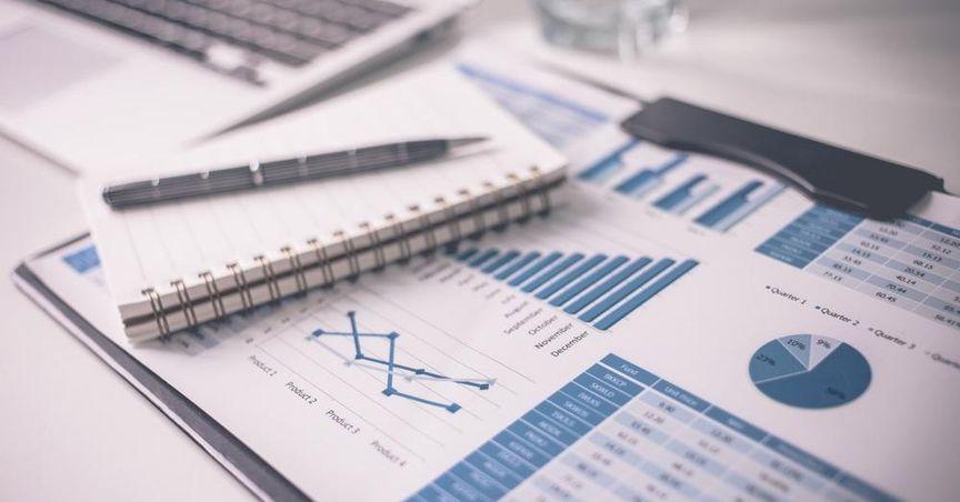  Understanding the Shareholder Composition of Perpetual Limited 