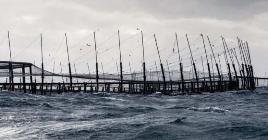  Huon Revises Outlook For FY2019 