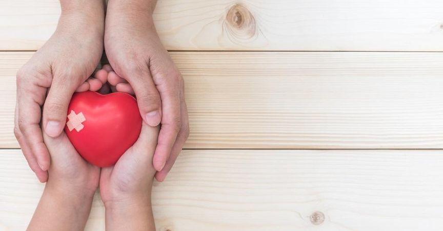 Kalkine: Why Sonic Healthcare (ASX:SHL) Could Be a Key Contender in the ASX200 Healthcare Space 