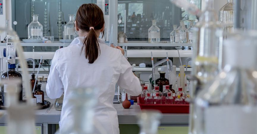  BPH’s Investee, Patagonia Adds 24 CBD and Hemp strains; set to commercialize its genetic library in early 2020 